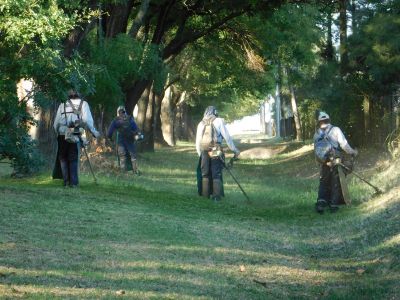 Proponen multas más altas a dueños de terrenos baldíos en Venado Tuerto