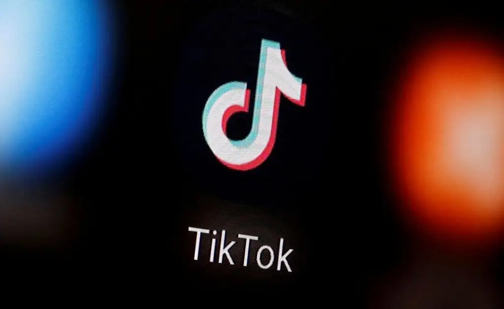 Italia ordenó a TikTok bloquear quienes no informen su edad