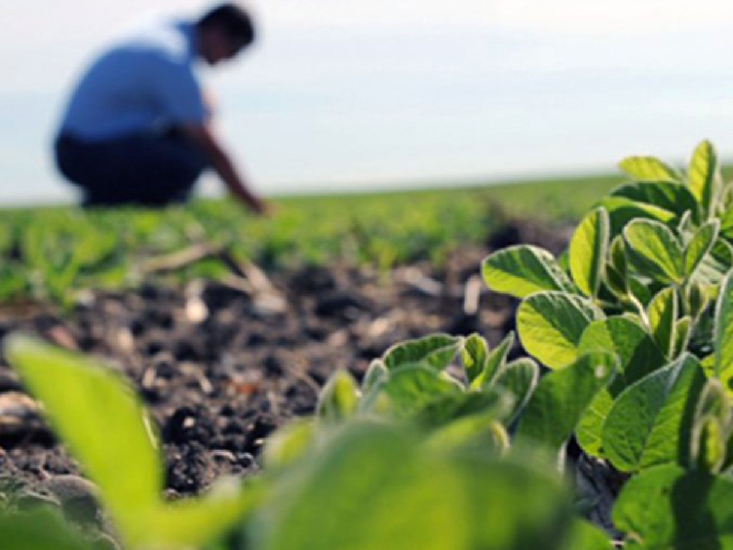 Esteban Frizza: “El ingeniero agrónomo avanzó mucho en la participación del sector”