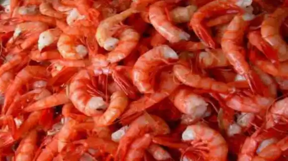 Industria camaronera venezolana crece vertiginosamente, entraría al TOP 10 DE MAYORES EXPORTADORES en 2024
