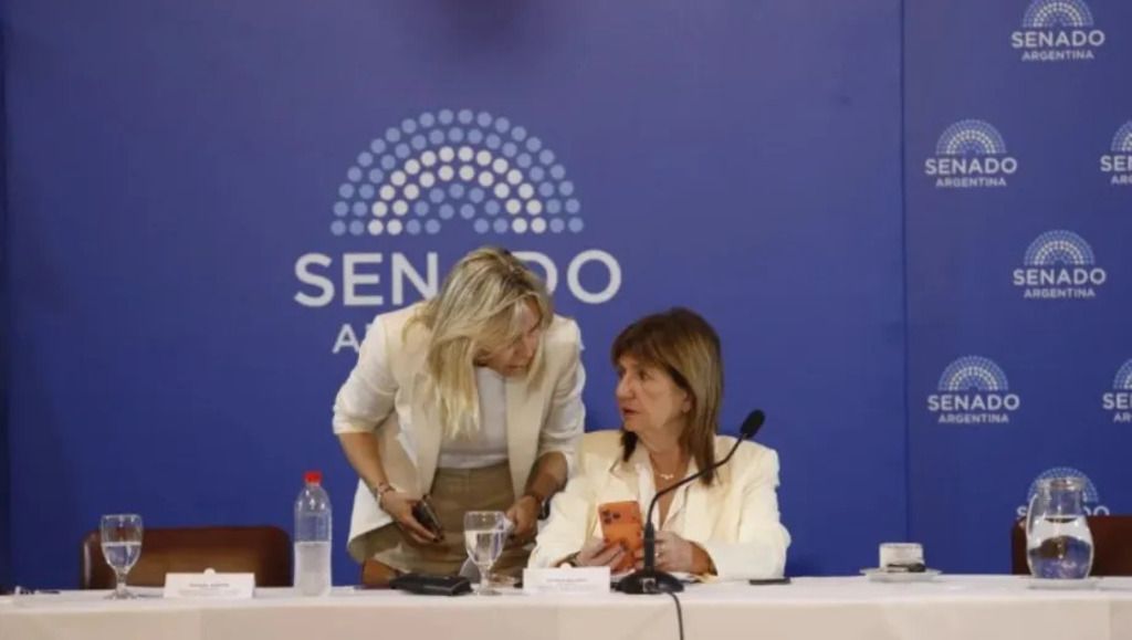 Bullrich, jefa del bloque libertario en el Senado