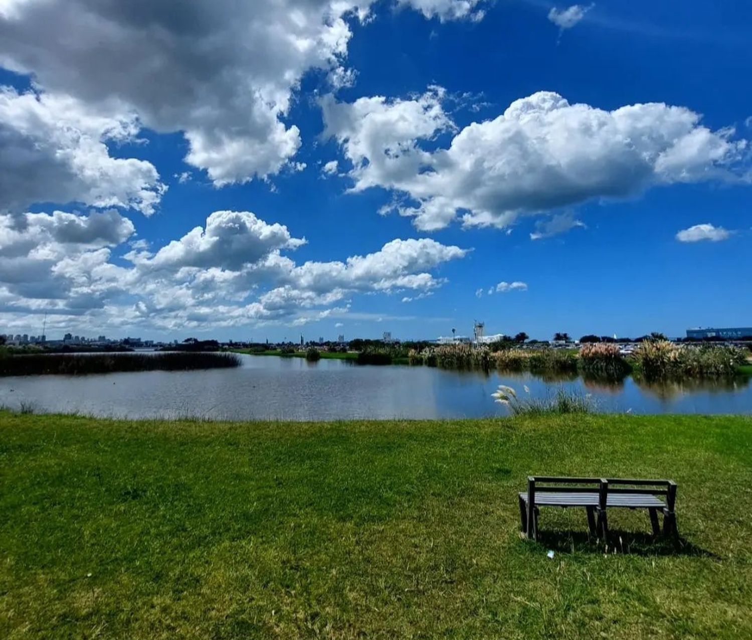 Proyecto para monitorear la calidad del agua de las Lagunas de Punta Mogotes