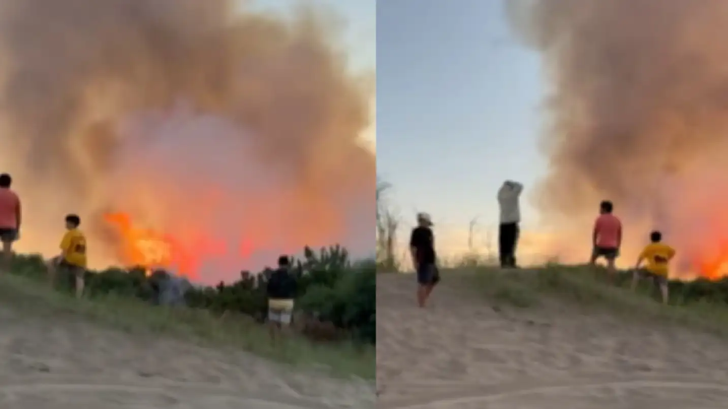 Alerta en Pinamar: un incendio en La Frontera encendió las alarmas en plena temporada. (Foto: captura TN).