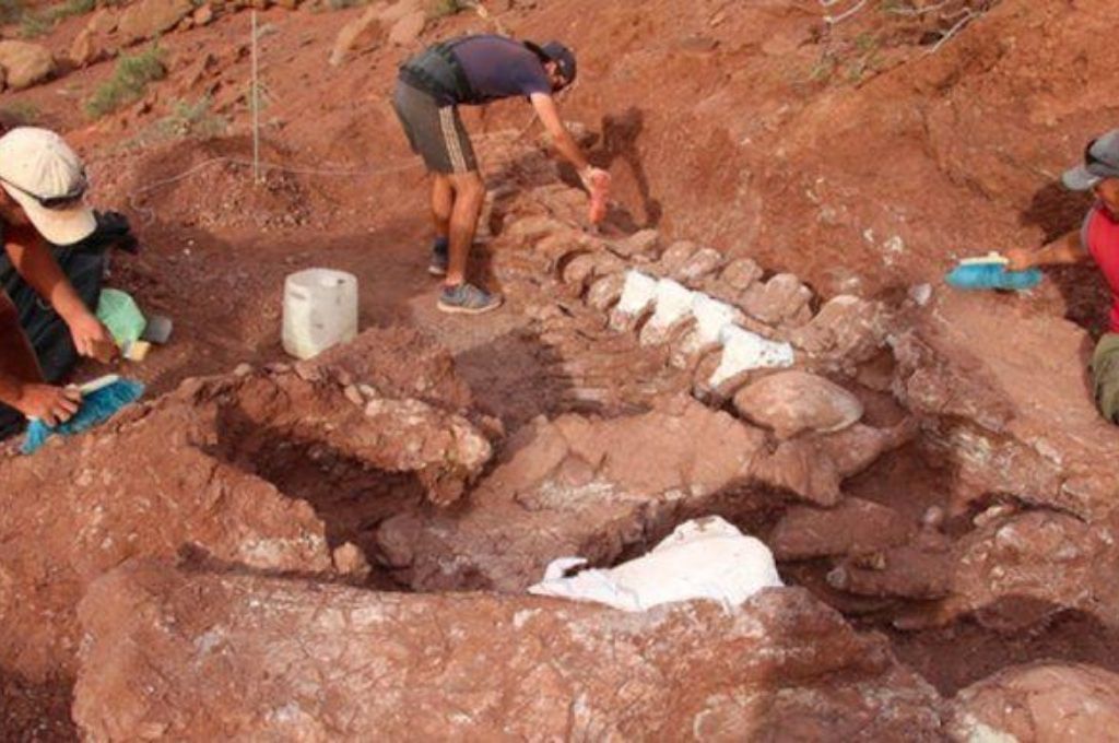 Anuncian que el titanosaurio más antiguo del mundo es argentino