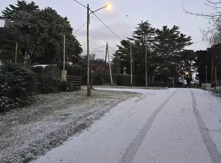 nieve mar del plata
