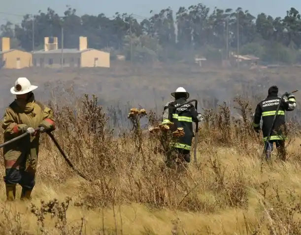 Taller para prevenir incendios forestales