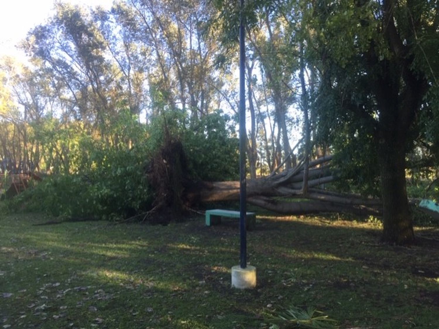 Tormenta en General Alvear: Intendente decidió suspender las clases matutinas por los daños