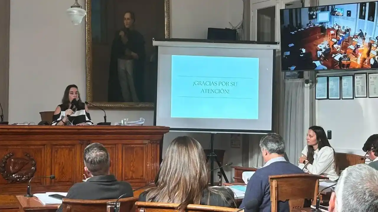 La defensora del Pueblo de Tandil, Paula Lafourcade, presentó el informe anual de gestión ante el Concejo.