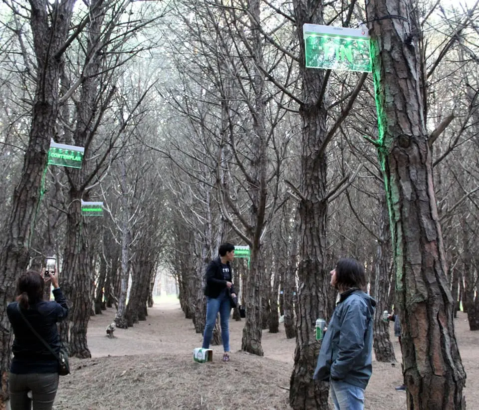 Intervención en el parque