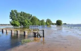 Tras inundaciones en General Villegas, afirman que se sembró un 40 por ciento menos
