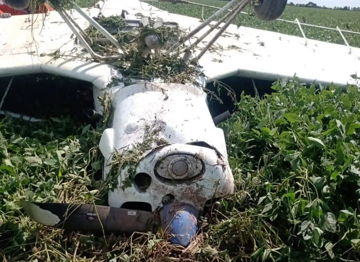Precipitó una aeronave de fumigación e impactó contra el suelo: el piloto fue hospitalizado - 1
