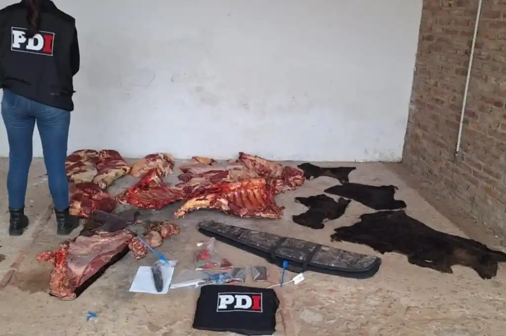 Incautaron una bolsa de nailon con partes de cortes de carnes.