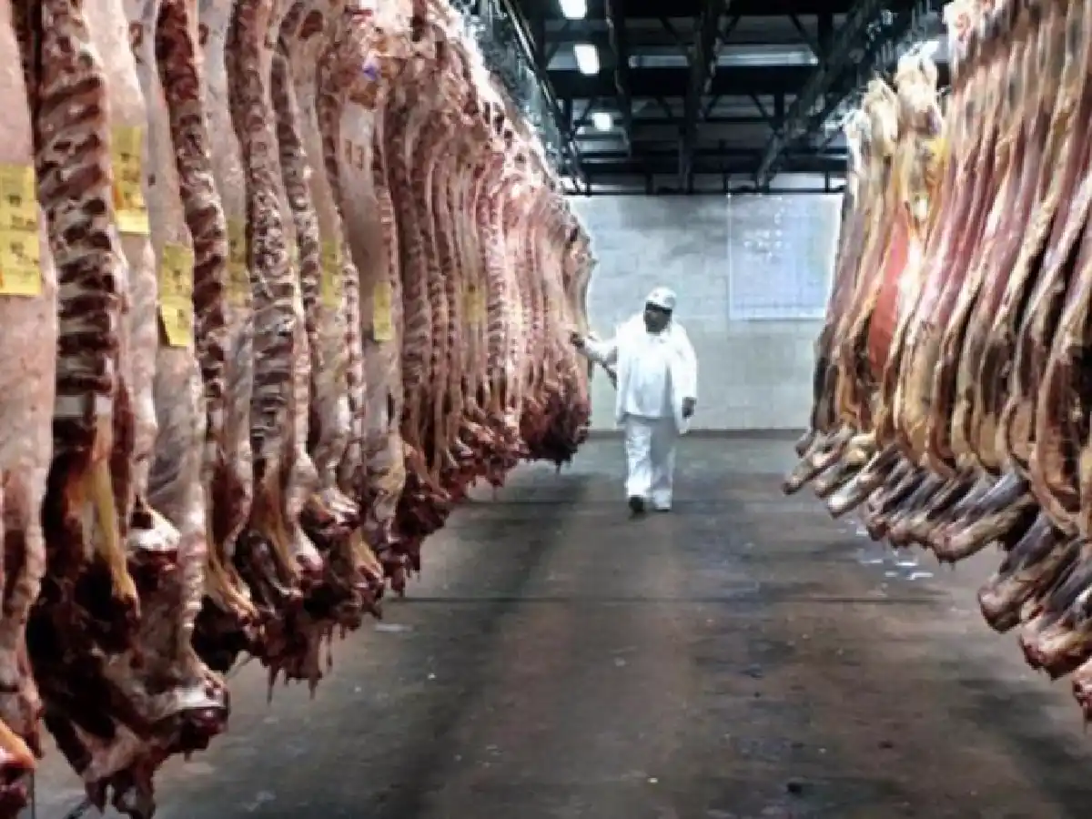 Garantizan el abastecimiento de carne y prevén que bajará el precio por sobreoferta