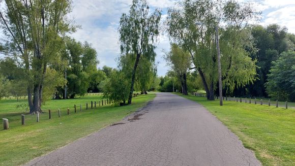 Adultos Mayores: caminata para la prevención del alzheimer 