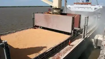 La producción del agro vale la mitad que tres años atrás