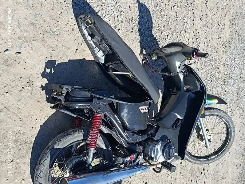 accidente venado - 2