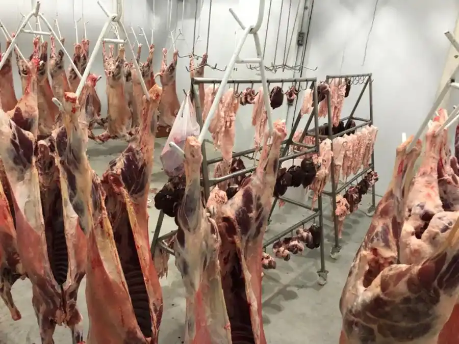 Las reses, luego de faenadas son almacenadas en una cámara de frío