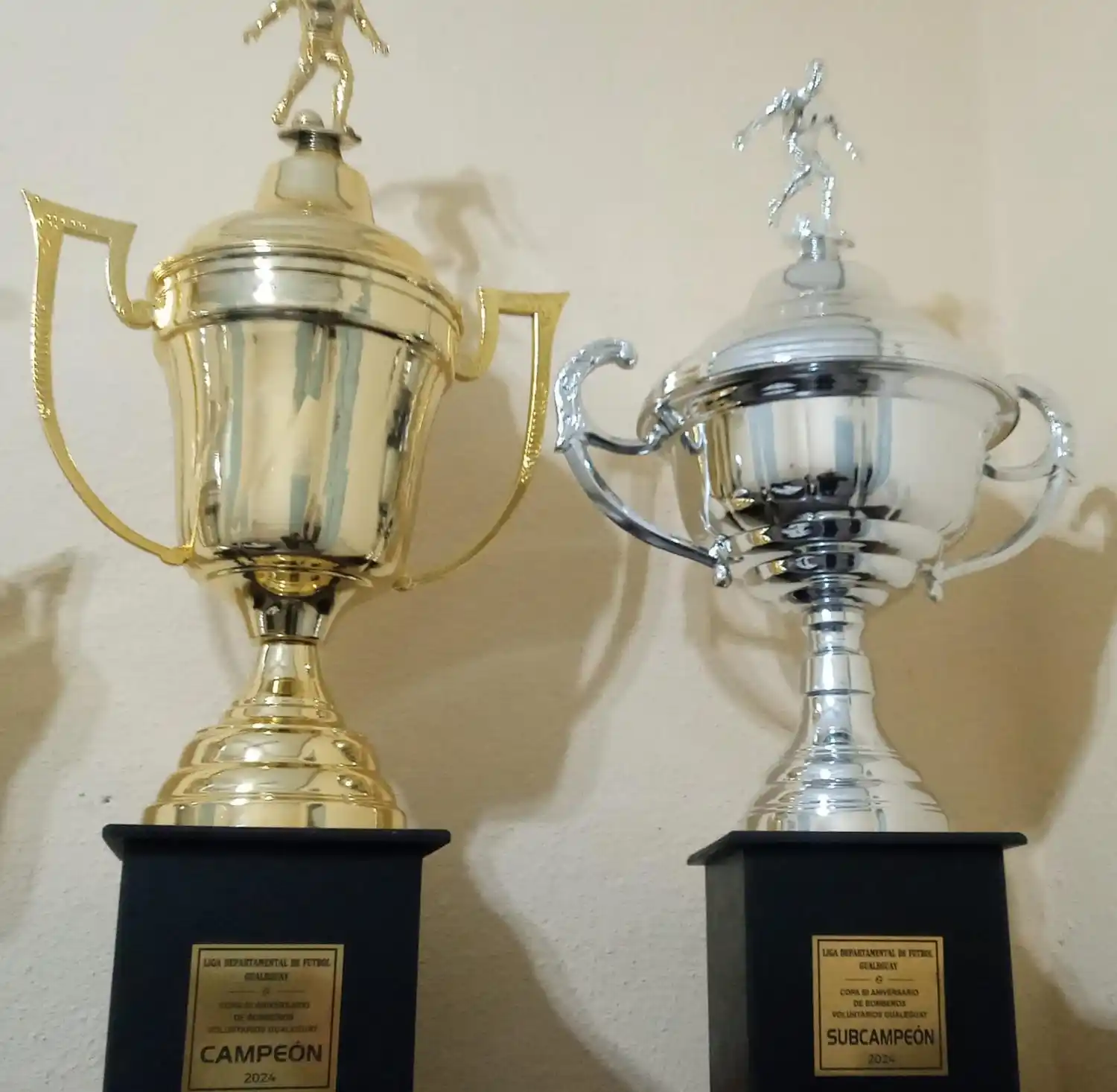 Estas son las copas para el campeón y subcampeón de 1a. División que llevan el nombre de "50º Aniversario de Bomberos Voluntarios de Gualeguay"