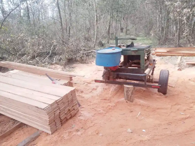 Investigan un presunto robo millonario de madera en terrenos públicos