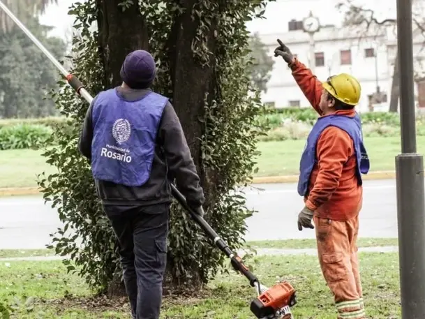 La Municipalidad realiza tareas de mantenimiento en el arbolado de las zonas sur, norte y noroeste