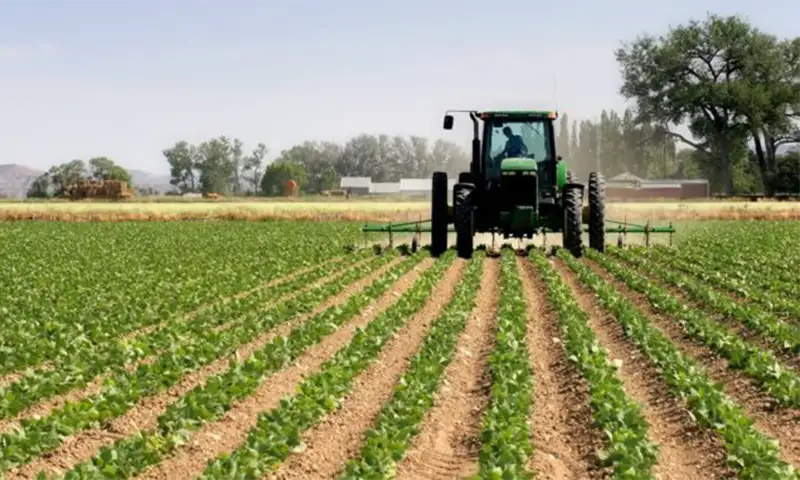 Maquinaria agrícola: cayó la venta de tractores y cosechadoras mientras creció la de sembradoras