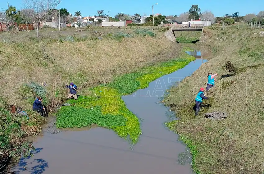 Arroyo La Tapera: "La desidia ha generado que se encuentre en esta situación"