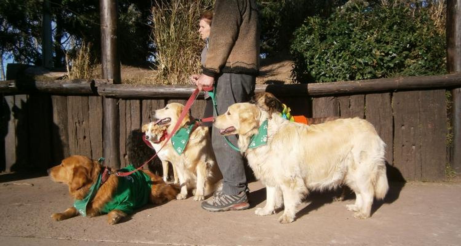 Día del amigo con desfile de mascotas