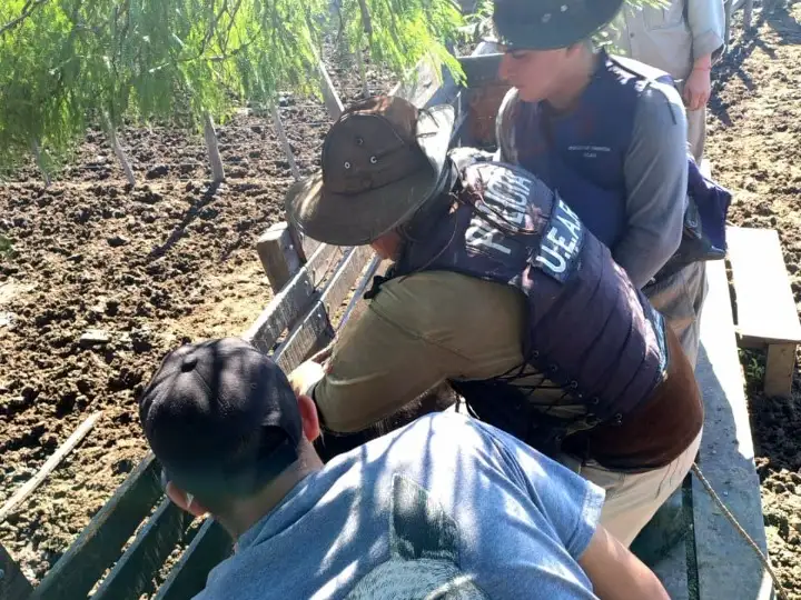 Colonia Alto Alegre: nuevos secuestros de hacienda por fraude documental