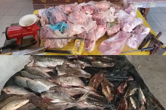 Decomisaron 70 kilos de carne en mal estado y 200 kilos de pescado no apto para consumo