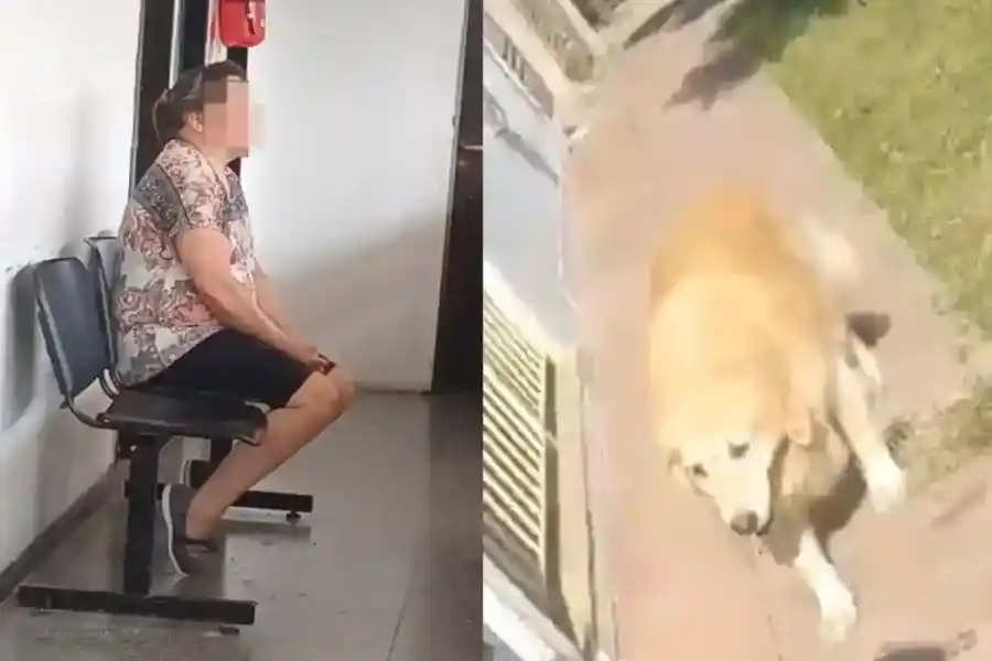 Denunciaron a una mujer que llevó a su perro a la carnicería para "faenarlo": "No sé cuál es el problema", dijo