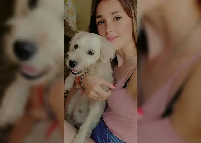 Milagro: Caniche rescatado en Ruta 191