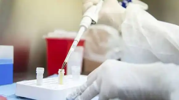 Científicos argentinos participaron de un artículo sobre covid junto a expertos de 112 países