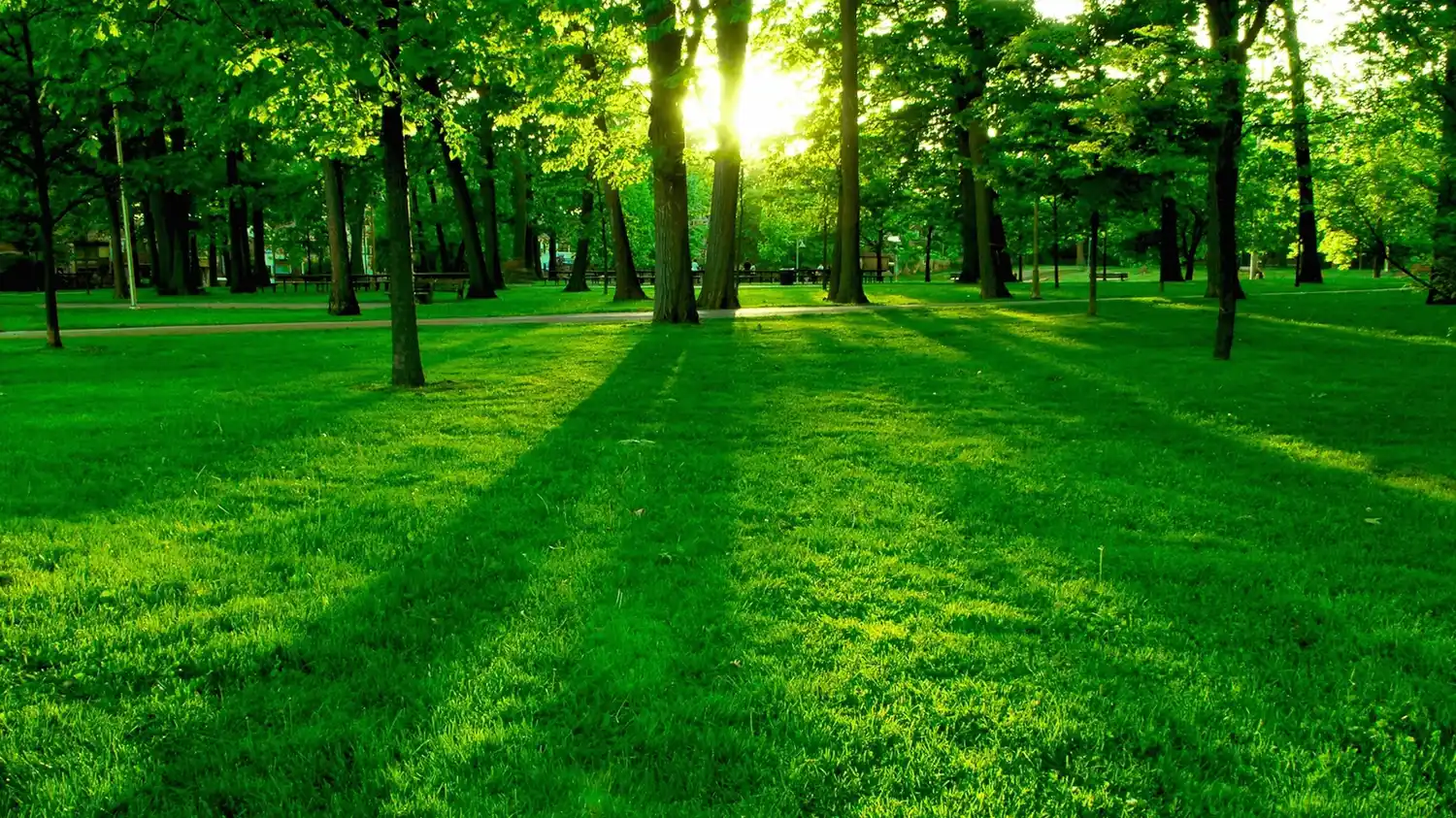 Praderas 1: avanzan las obras en el barrio abierto al norte de Santa Fe