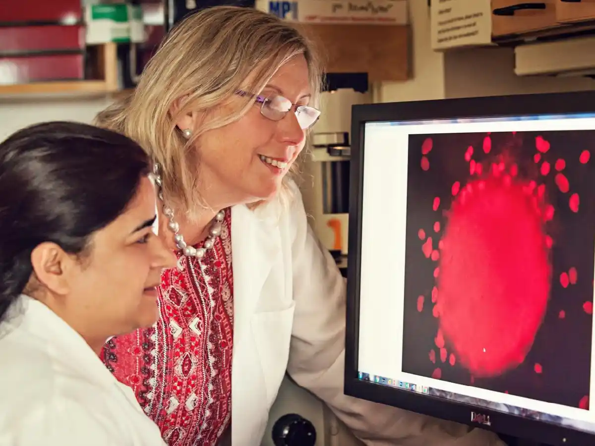 "Nos parte el corazón saber que desde  2015 se podría haber desarrollado una vacuna"