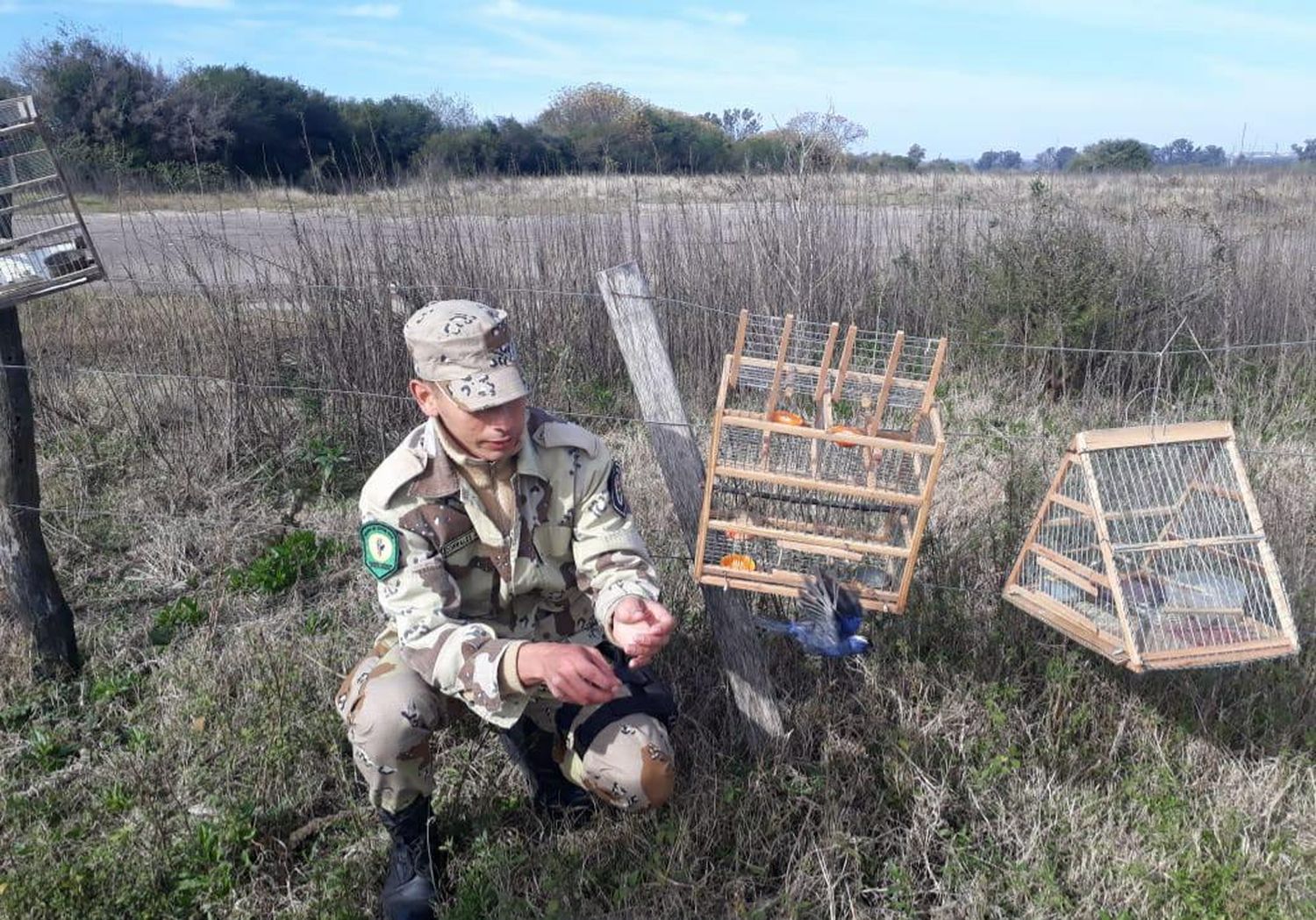 Secuestraron aves autóctonas, tramperas y jaulas en el departamento