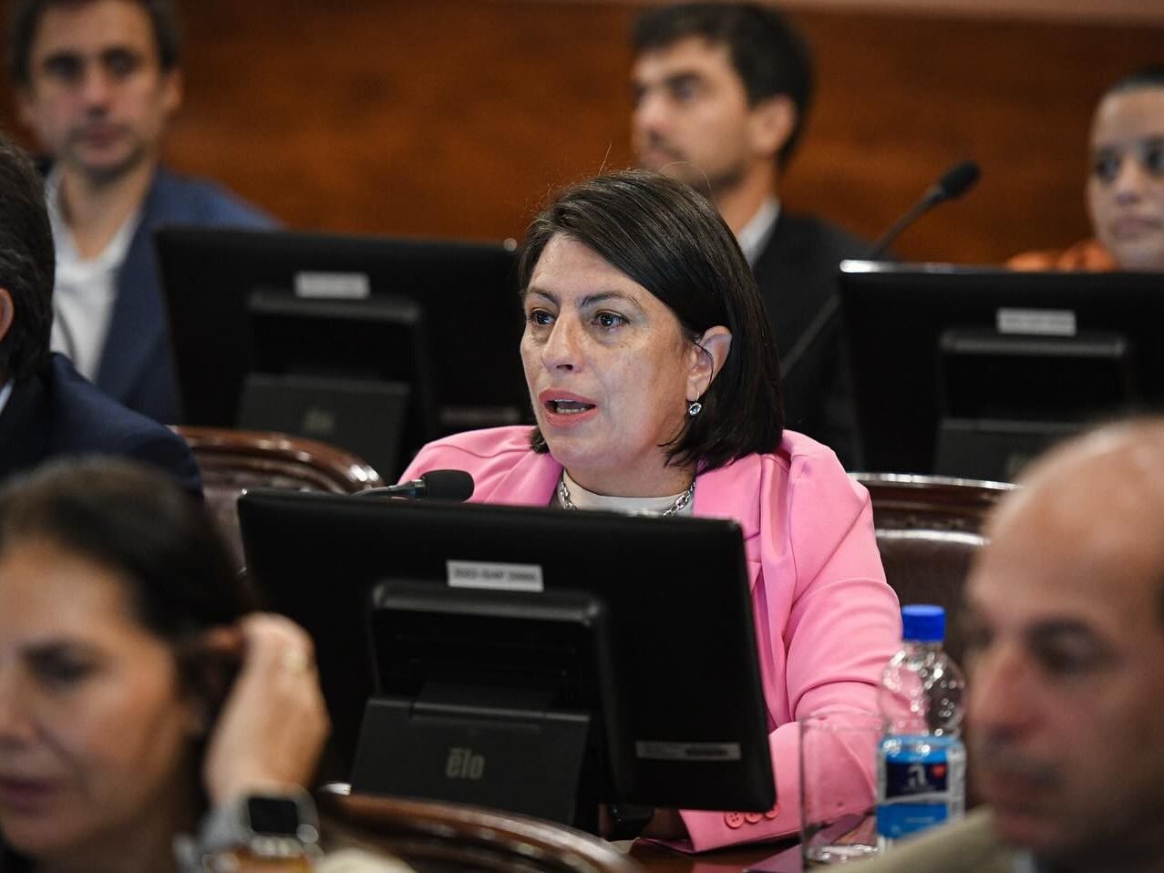 Carola Laner defendió su proyecto sobre reiterancia delictiva y llamó a enfocarse en la gestión