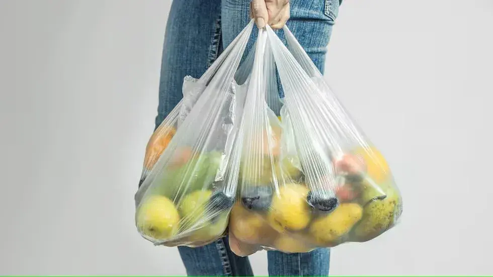 Día Mundial Sin Bolsas de Plástico: seis acciones para reducir residuos en Rafaela