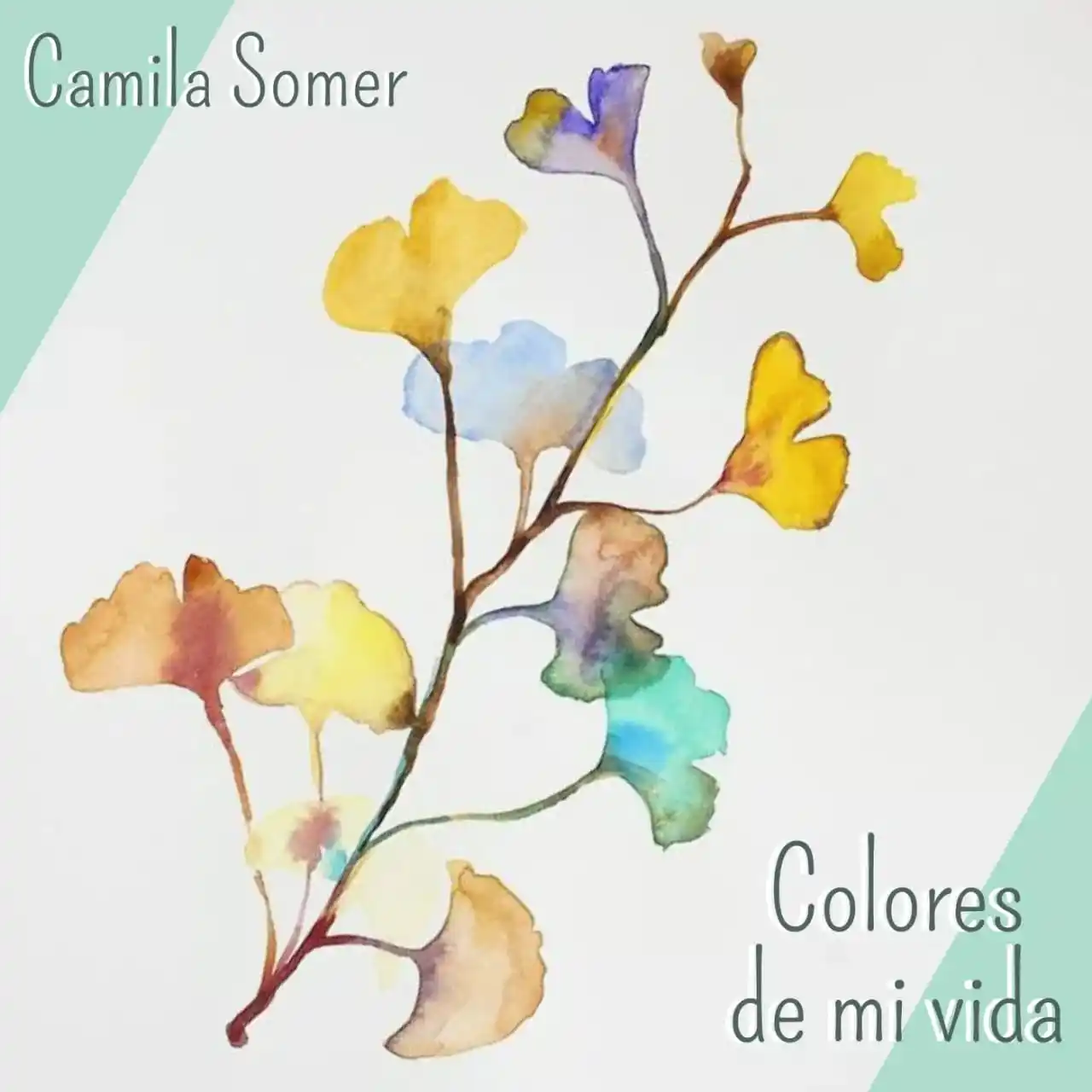 “Colores de mi Vida”, canciones para el alma