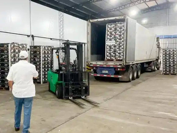 SENASA certificó el primer envío de naranjas entrerrianas a Ecuador desde Concordia