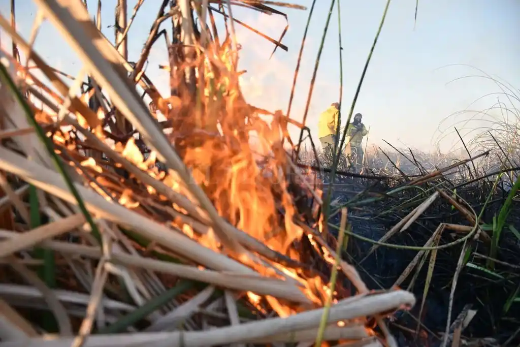 Rechazo a la ley del manejo del fuego