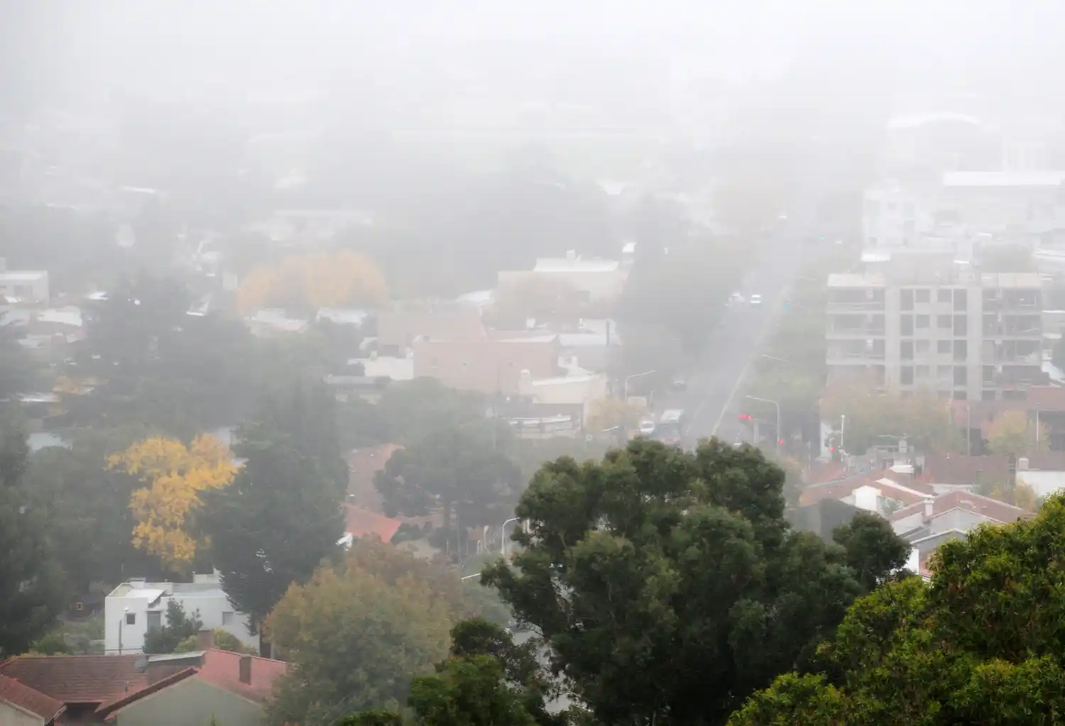 Continúa la advertencia violeta para Tandil por niebla.
