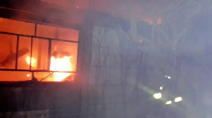 Bahía Blanca: Se prendió fuego un galpón y murieron 200 codornices