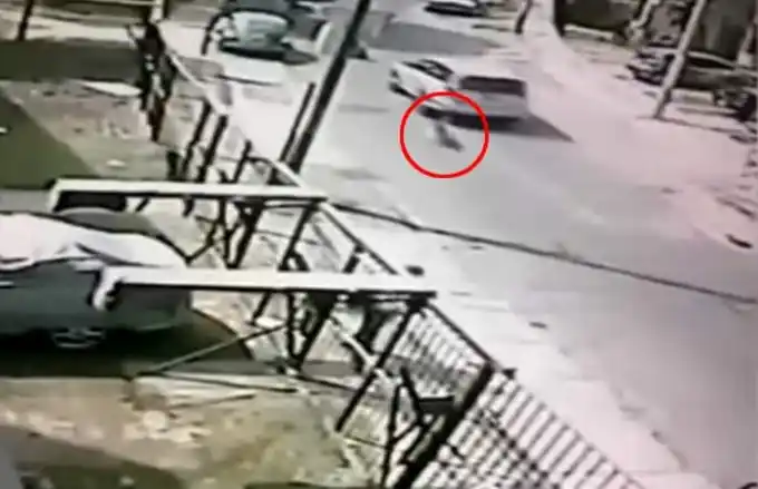 Bombero ató a su perro al auto y lo arrastró por la calle