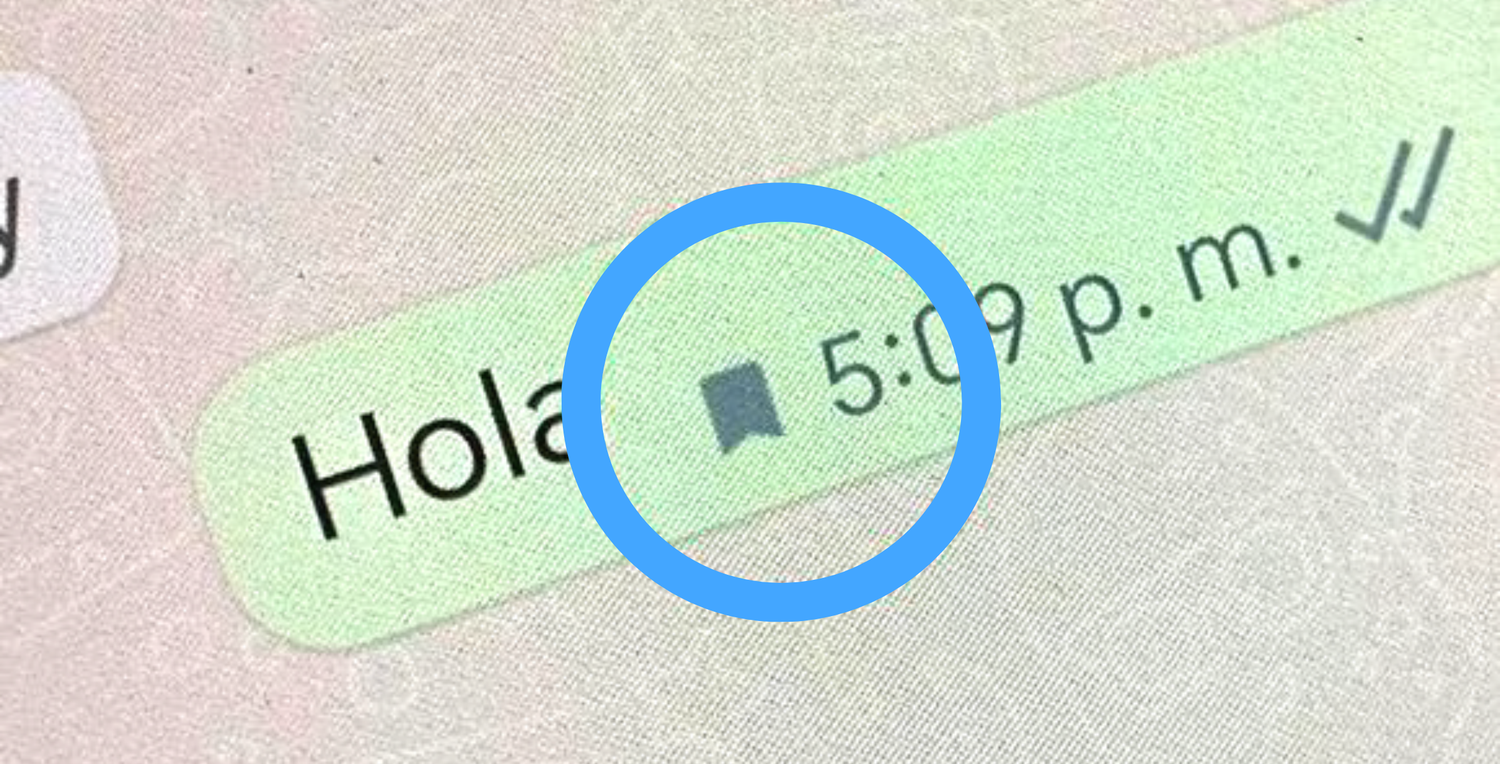 Qué significa el ícono de la “bandera” en los chats de WhatsApp 2023