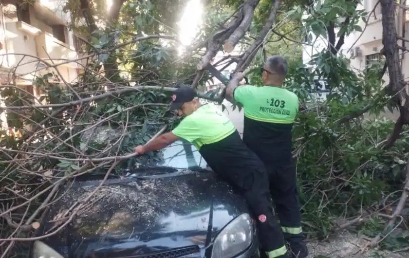 Fotos: @CIOR_Rosario