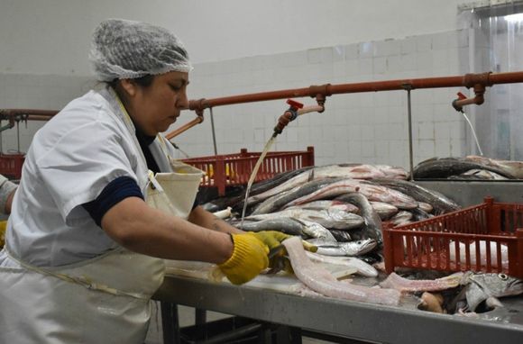 Los riesgos de encandilarse con paritarias del 50%