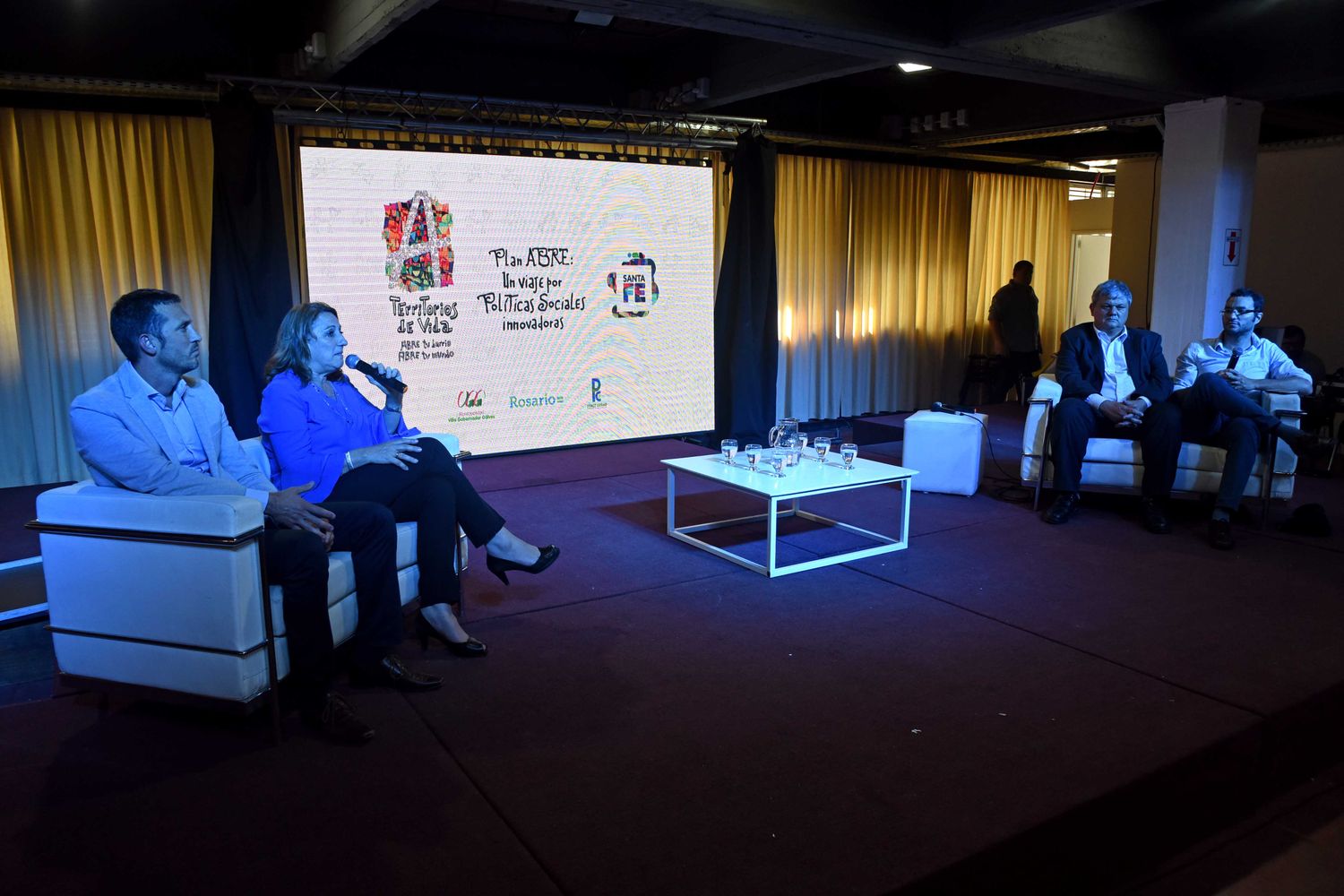 Fein: “El Plan Abre vino a replantearnos el rol del Estado”
