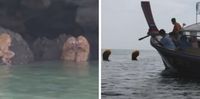 Las extrañas criaturas que aparecieron en una playa de Tailandia realizando un ritual