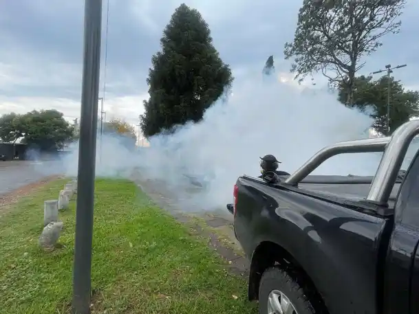 Continuarán los operativos de fumigación en parques, plazas y espacios verdes.