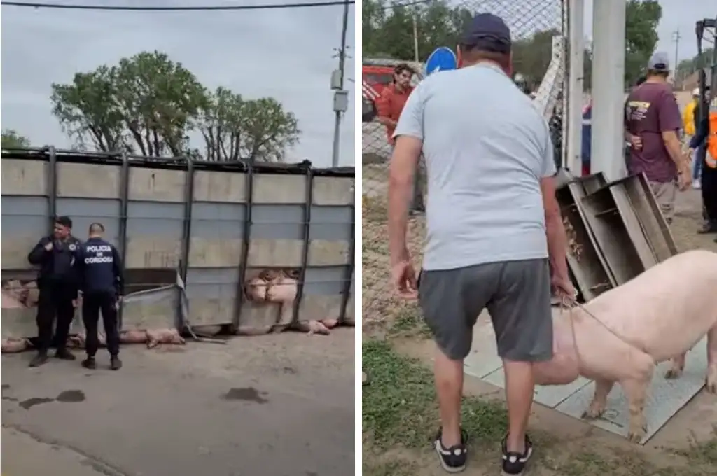El conductor del vehículo-jaula perdió el control y quedó tirado de costado.